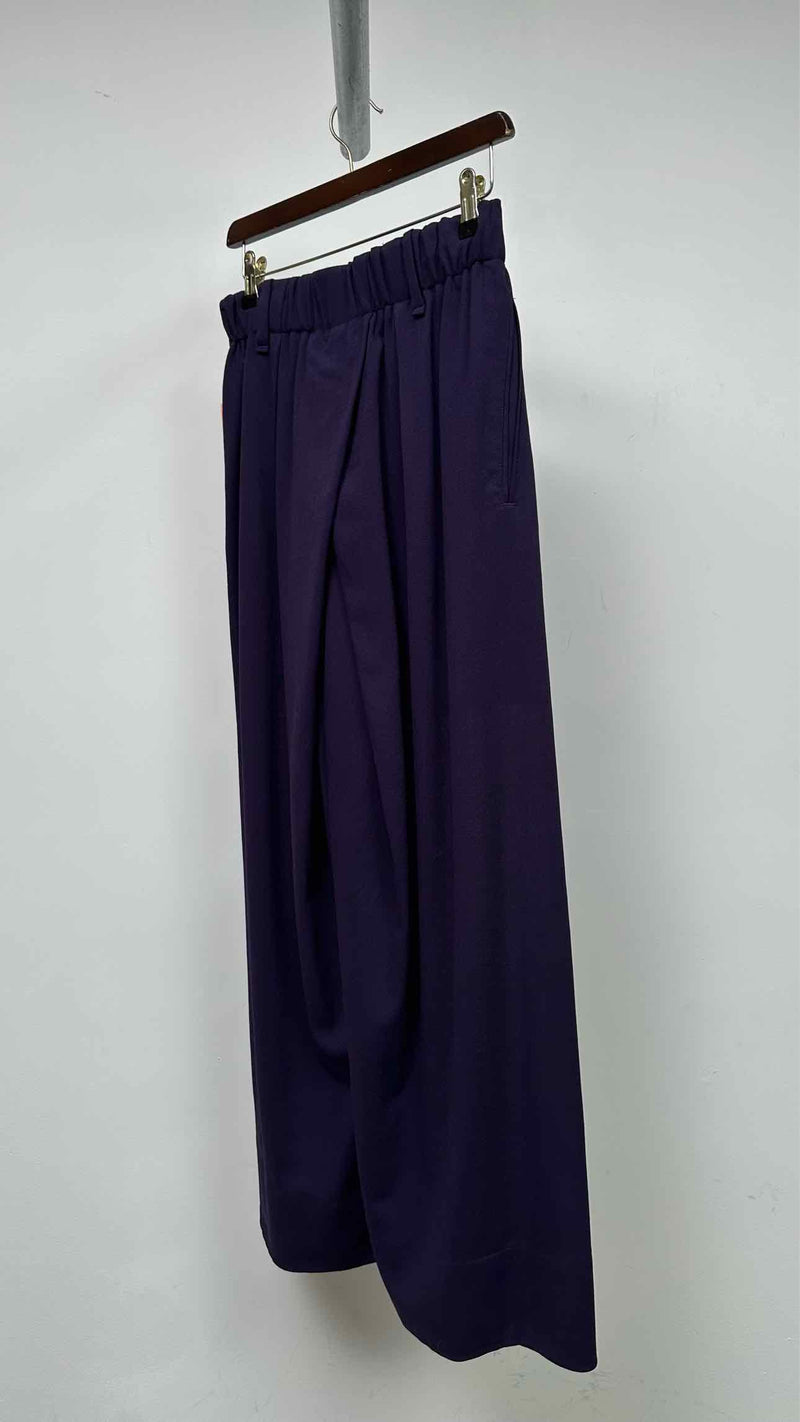Issey Miyake Wide Pants