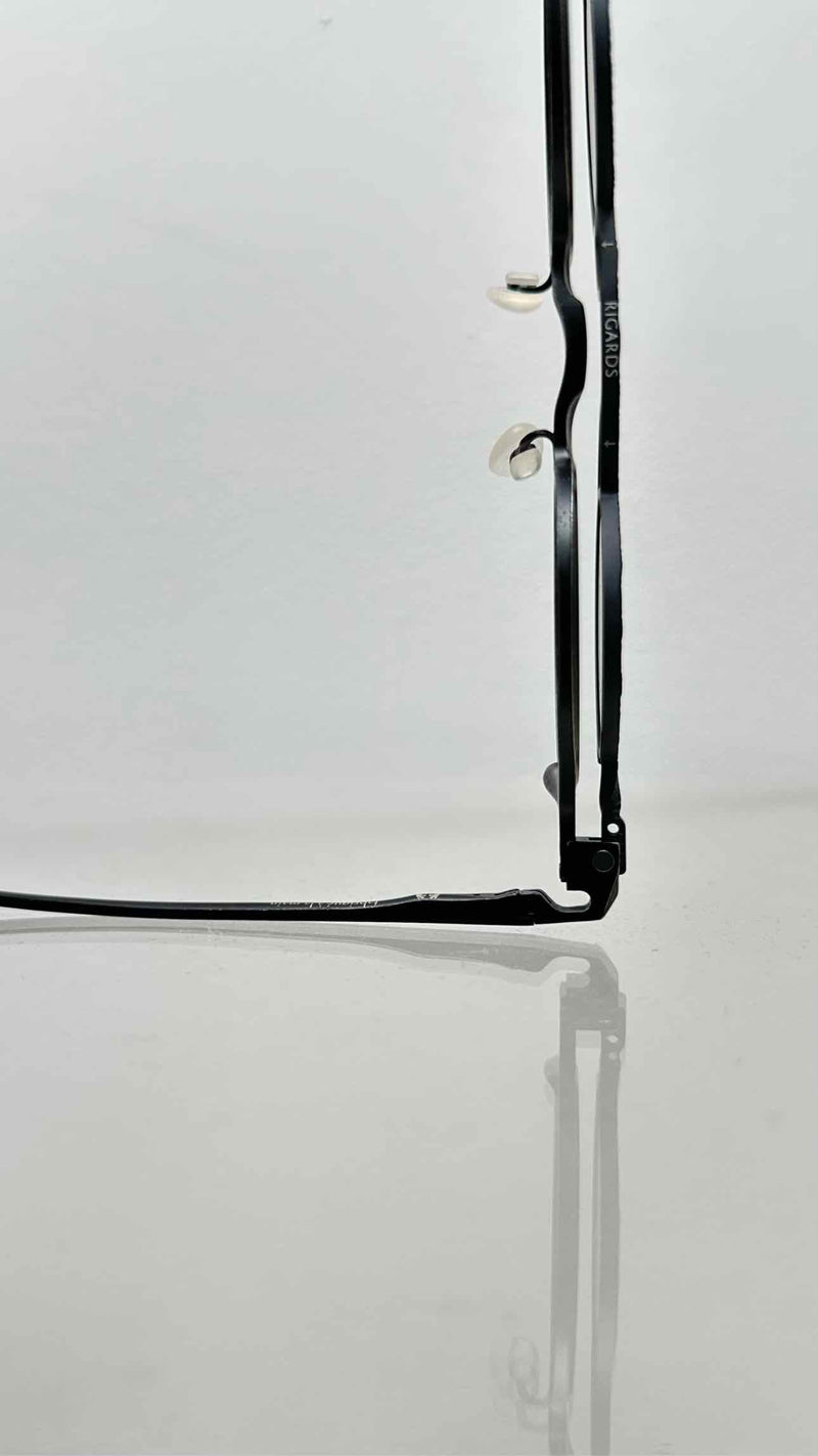 Rigards X ZIGGY CHEN RG1911TI Sunglasses