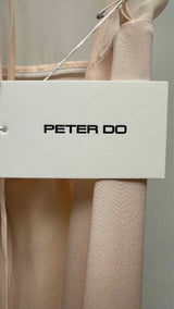 Peter Do N/S Combo Open Back Sheer Gown