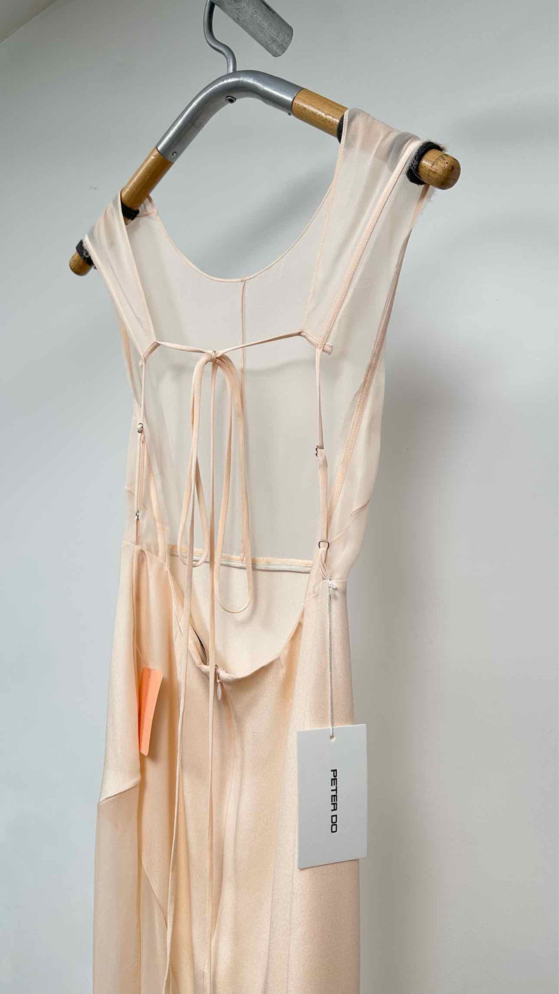 Peter Do N/S Combo Open Back Sheer Gown
