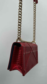 Christian Dior Metalic Chain Crossbody Bag