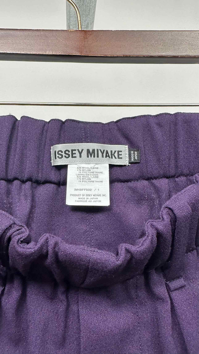 Issey Miyake Wide Pants