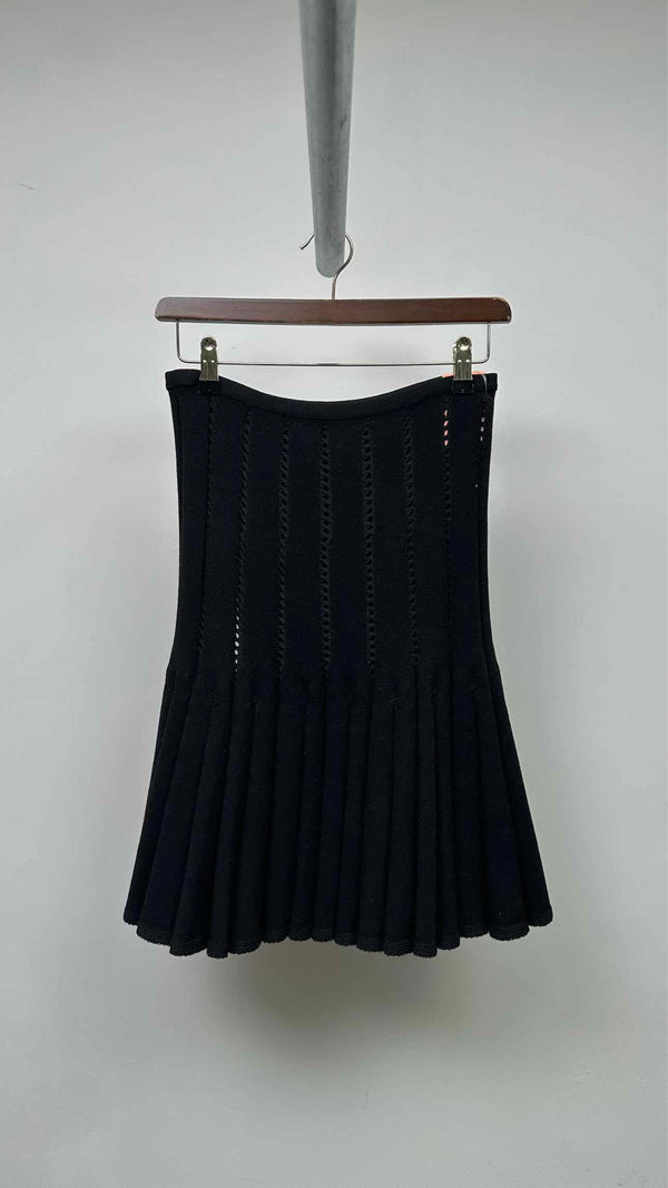 Alala Pleated Knit  Skirt