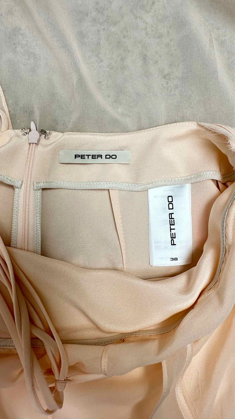 Peter Do N/S Combo Open Back Sheer Gown
