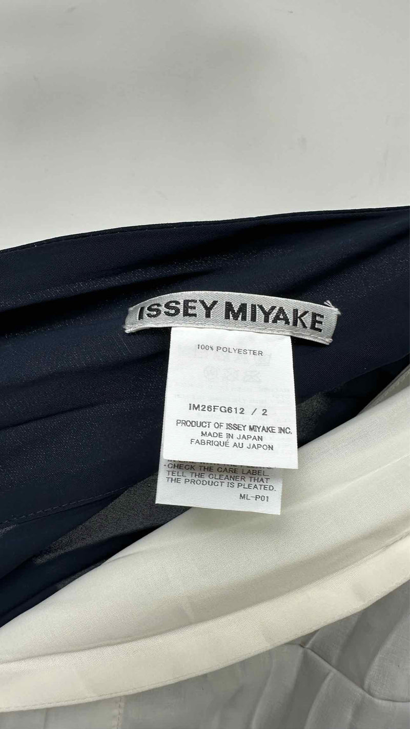 Issey Miyake Link Rings Tricolor Pleats Long Skirt